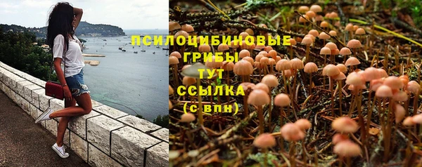 ECSTASY Армянск