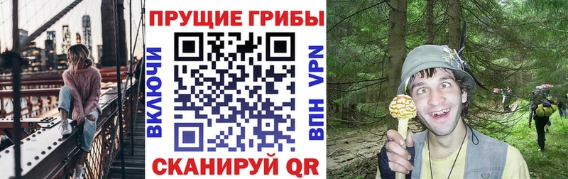 купить  цена  Майкоп  Галлюциногенные грибы ЛСД 