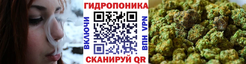 МАРИХУАНА конопля  Майкоп 